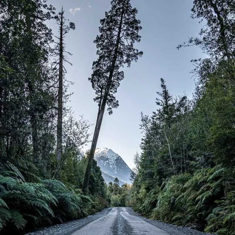 Parque Nacional Pumalín Douglas Tompkins, cerca de Chaitén en la Carretera Austral